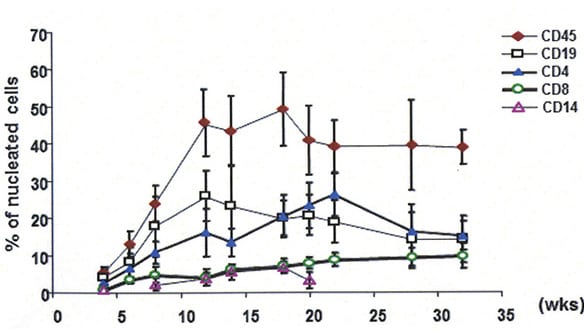 figure of nucleated cells
