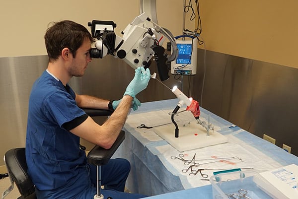 Medical student taking laryngeal dissection course
