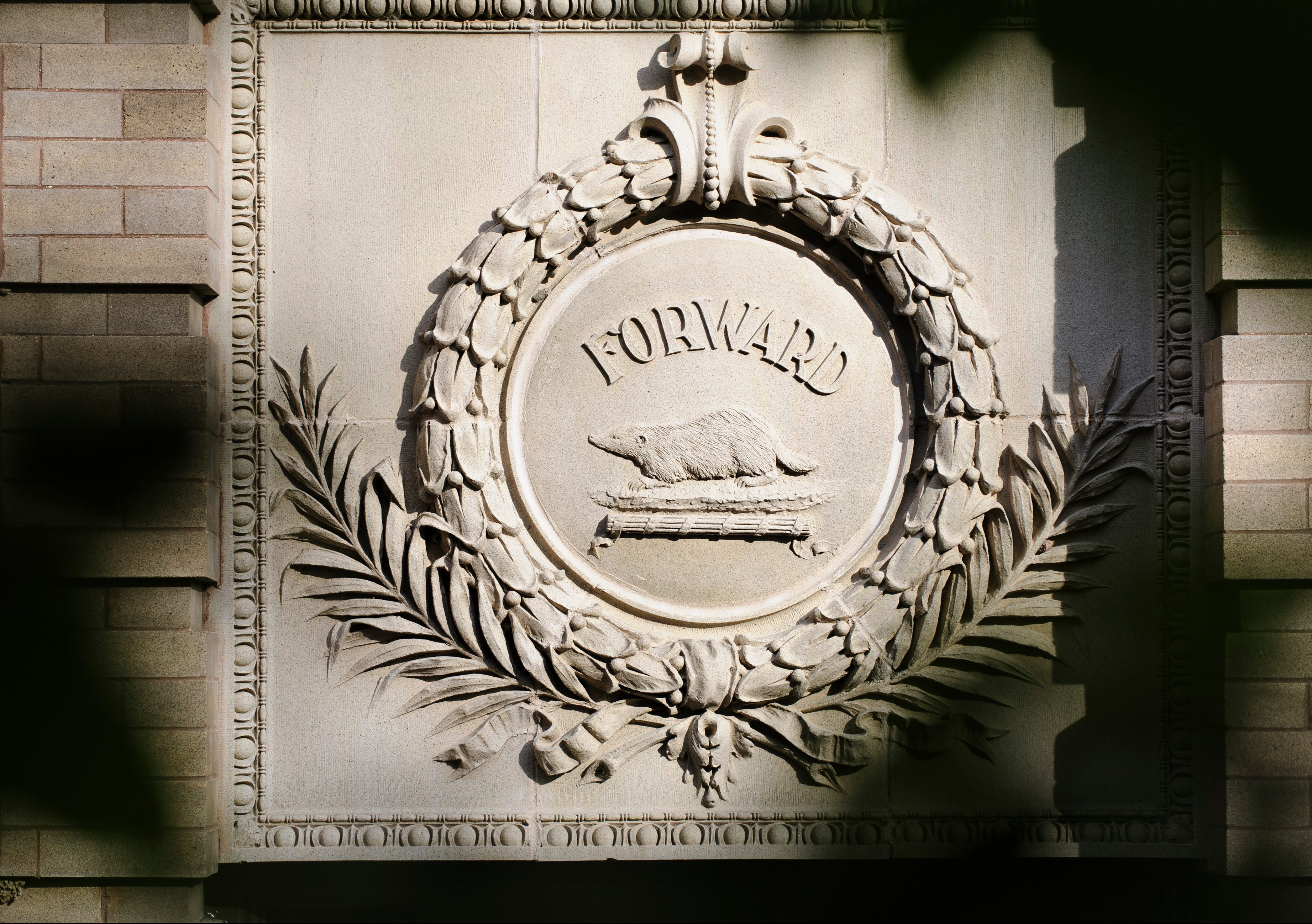 Badger crest