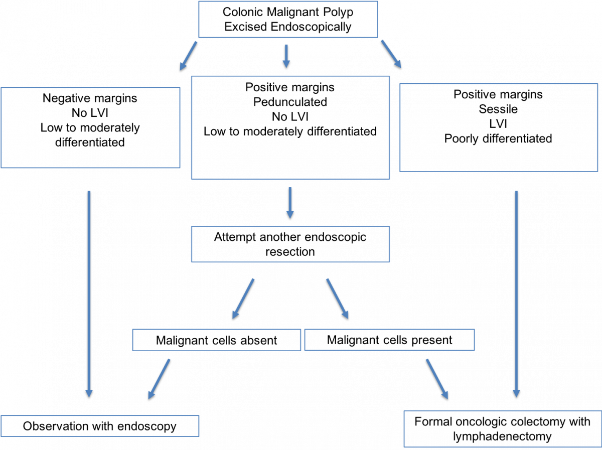 Management of the malignant colorectal polyp—is formal resection needed? Department of Surgery