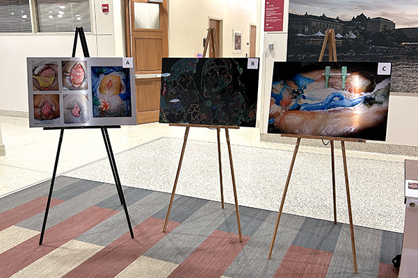 photo of the 2026 top three Surgery Science Image Contest winners
